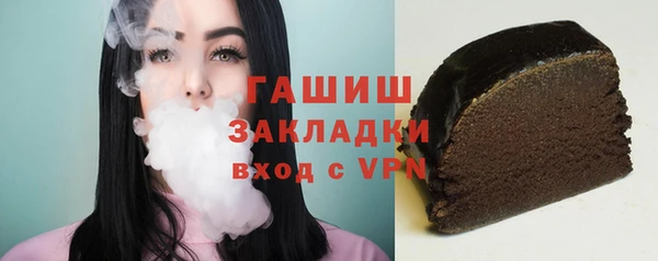 хмурый Арсеньев