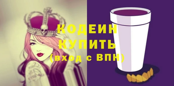 хмурый Арсеньев