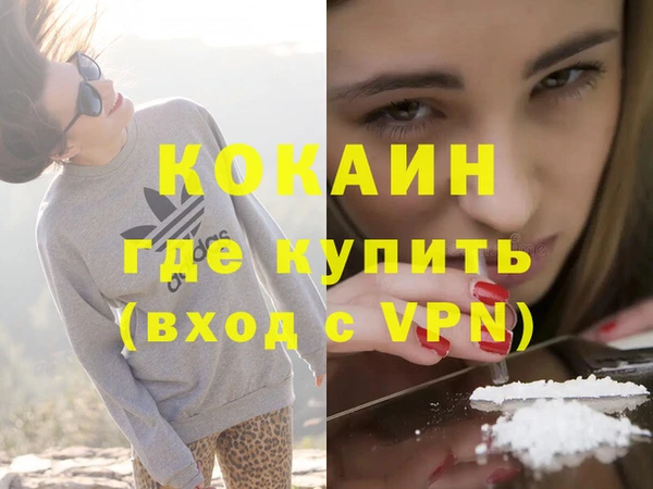 хмурый Арсеньев