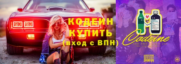 хмурый Арсеньев