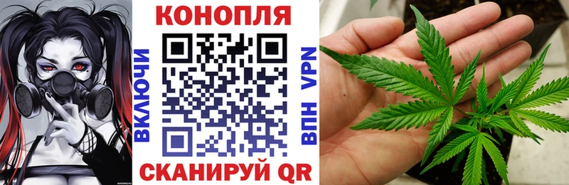 Канабис AK-47 Купить закладки Иланский